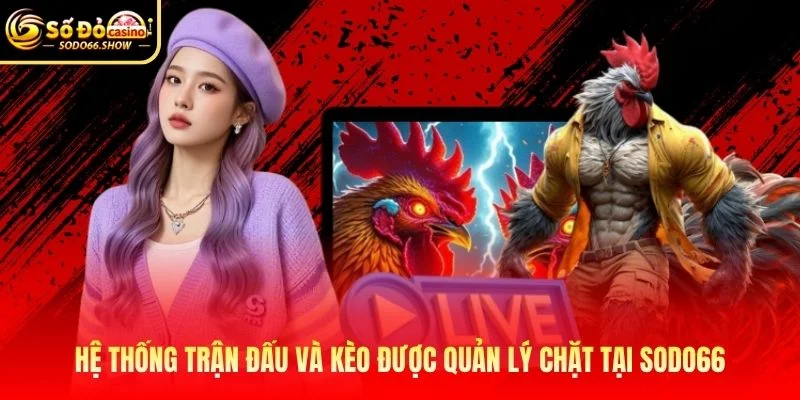 Hệ thống trận đấu và kèo được quản lý chặt tại SODO66 Hệ thống trận đấu và kèo được quản lý chặt tại SODO66